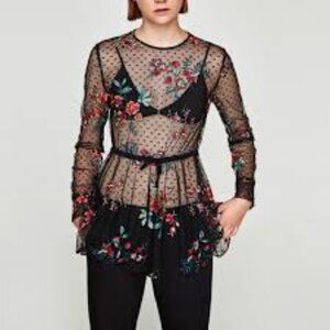 Zara Embroidered Sheer Long Sleeve Top